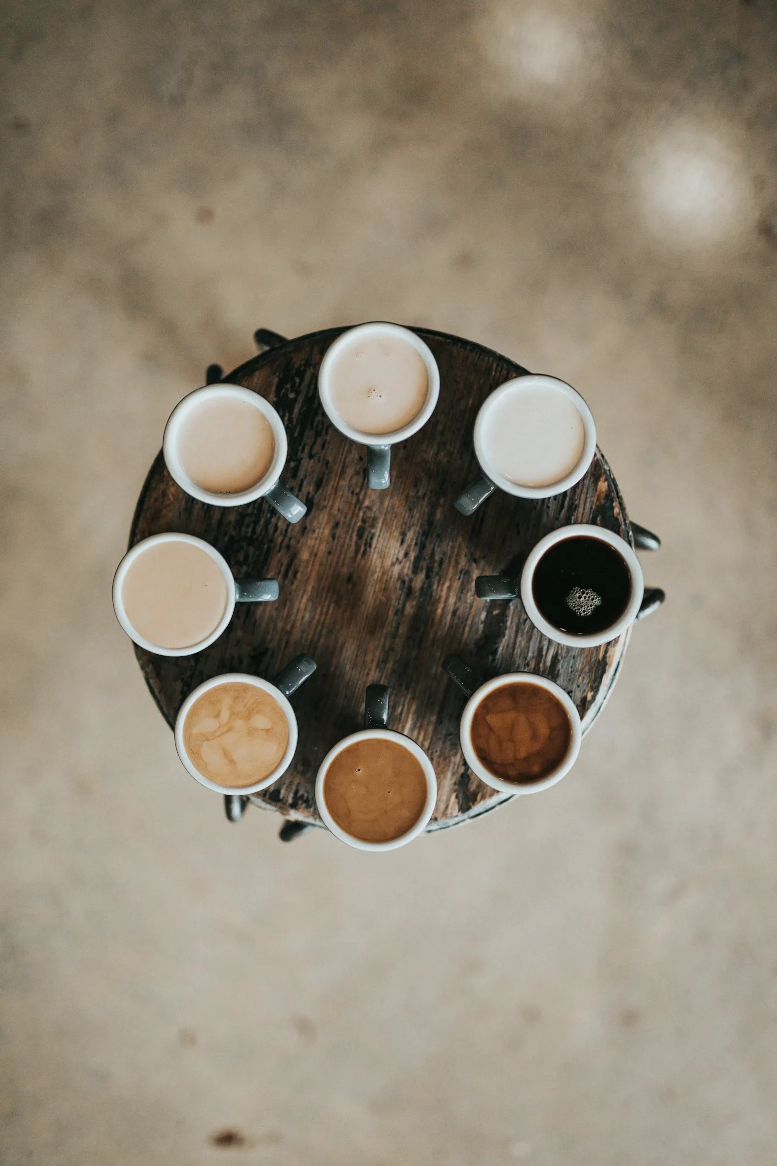 Cești de cafea aranjate în cerc, văzute de sus